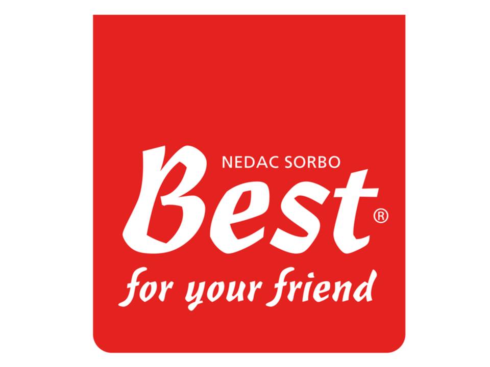 Logo Best for your friend