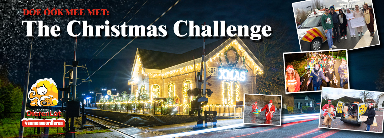 Banner The Christmas Challenge