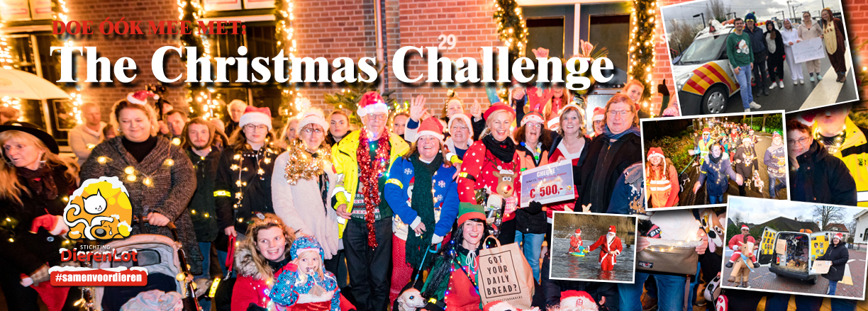 Banner 2 The Christmas Challenge