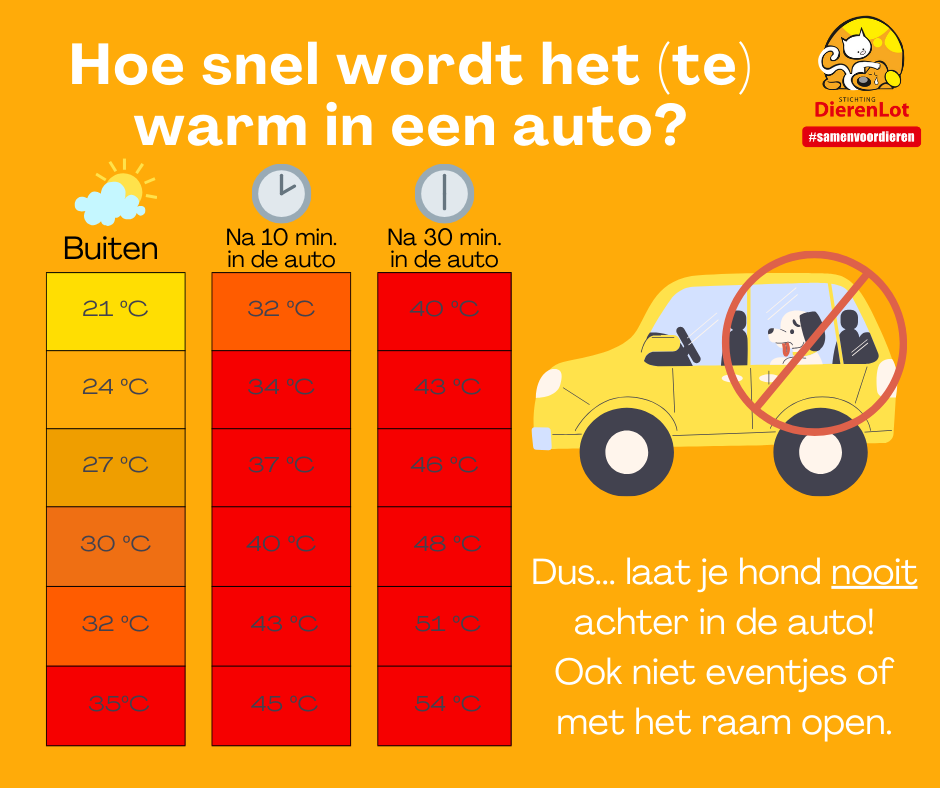Illustratie wanneer het te warm in de auto is