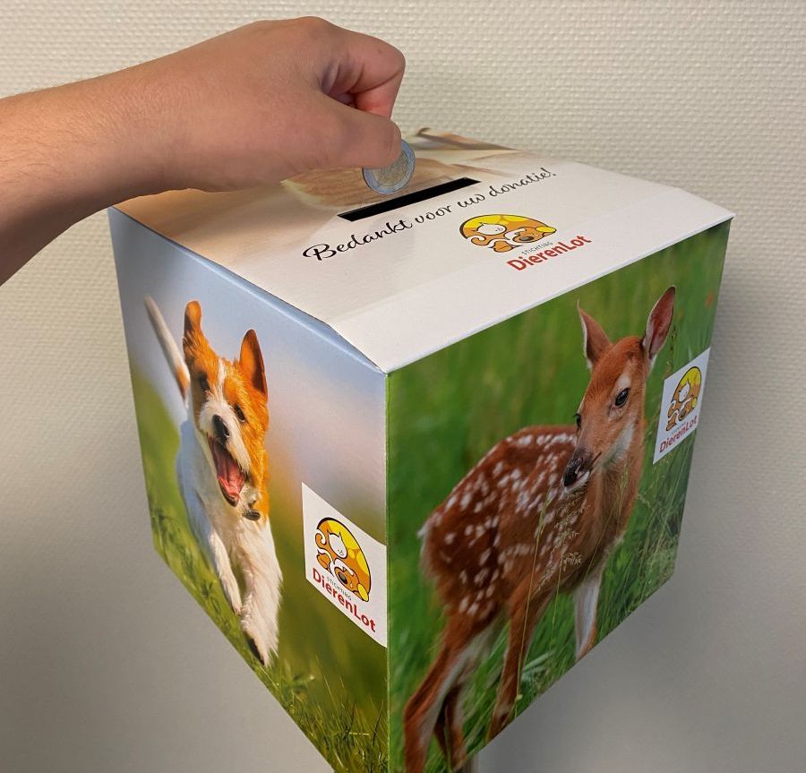 Vierkante Donatiebox van DierenLot waar een muntje in wordt gegooid
