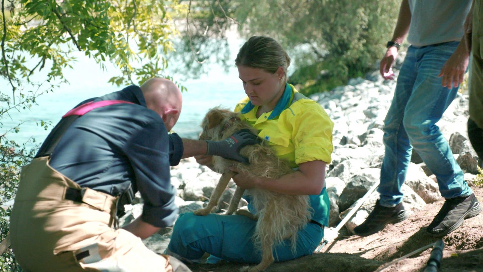 hond gered door vrijwilligers
