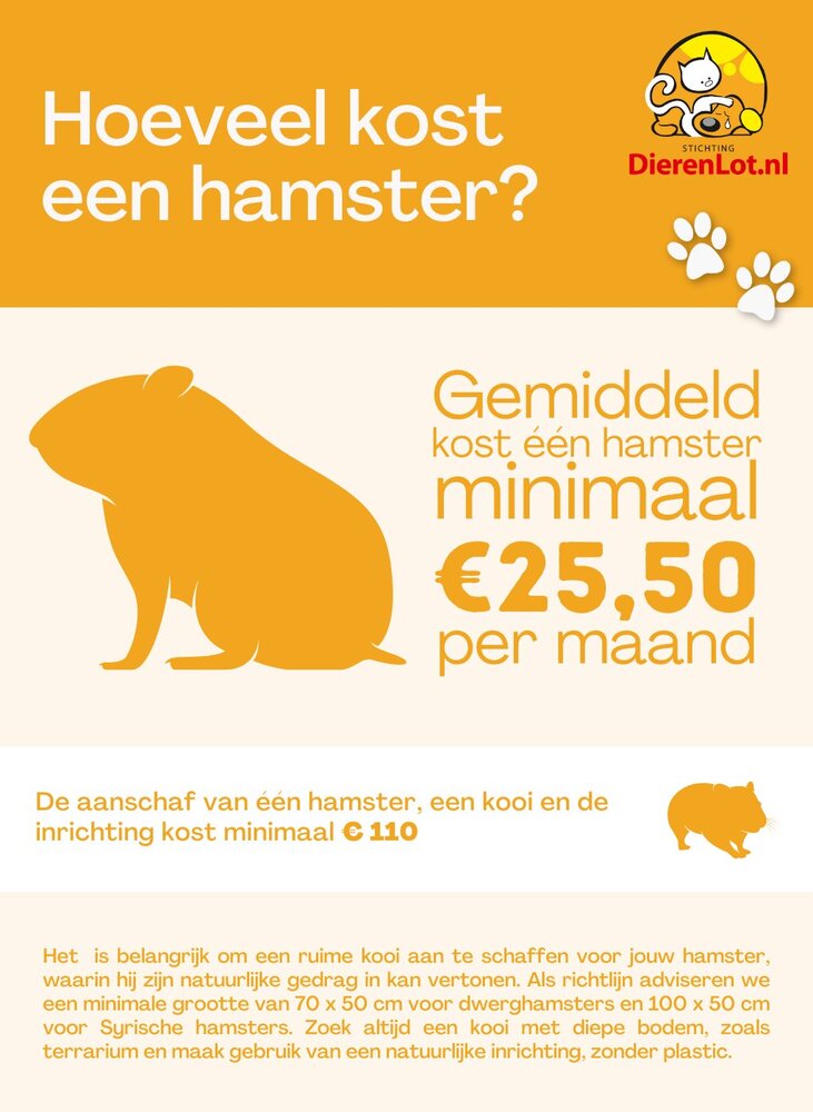 Wat kost een hamster?