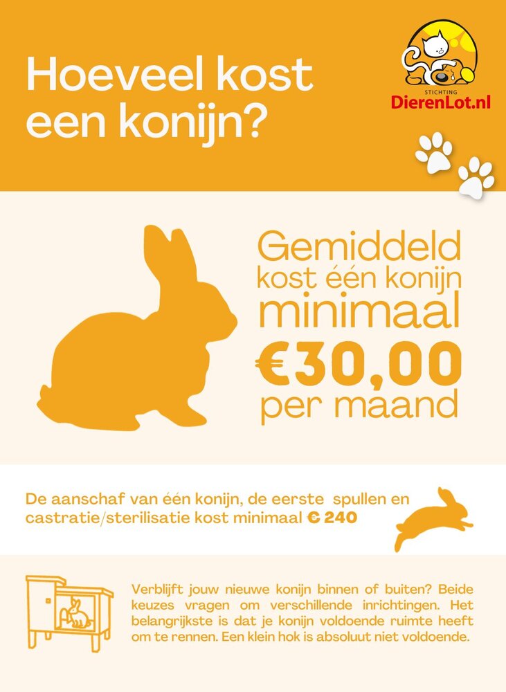 Wat kost een konijn?