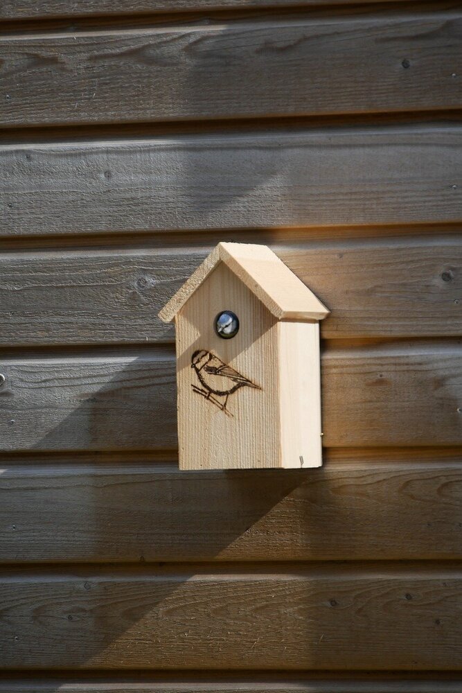 Bied vogels een veilige plek door een nestkast te plaatsen