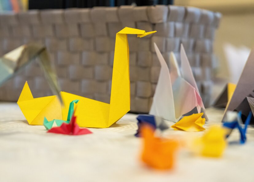 origami workshop bij Stichting Vogelklas