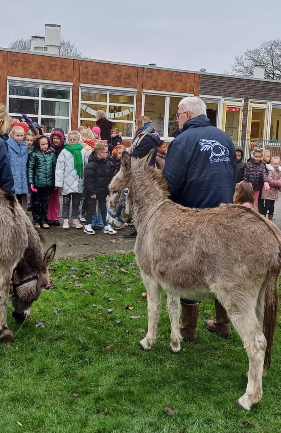 De ezels op bezoek bij de basisschool