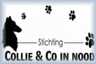 Stichting Collie & Co in Nood
