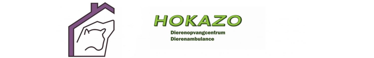 Stichting Hokazo