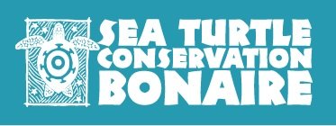 Sea Turtle Conservation Bonaire