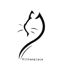 Stichting Kittenplace