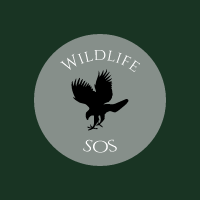 Wildlife SOS Opvang Roofvogels