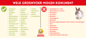 Overzicht groenvoer konijnen
