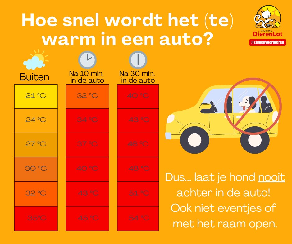 hond temperatuur auto