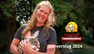 Jaarverslag 2024 vrouw met konijn
