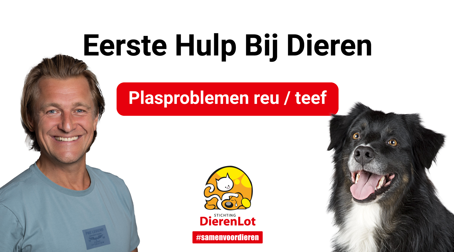 Eerste Hulp Bij Dieren - Plasproblemen bij een hond