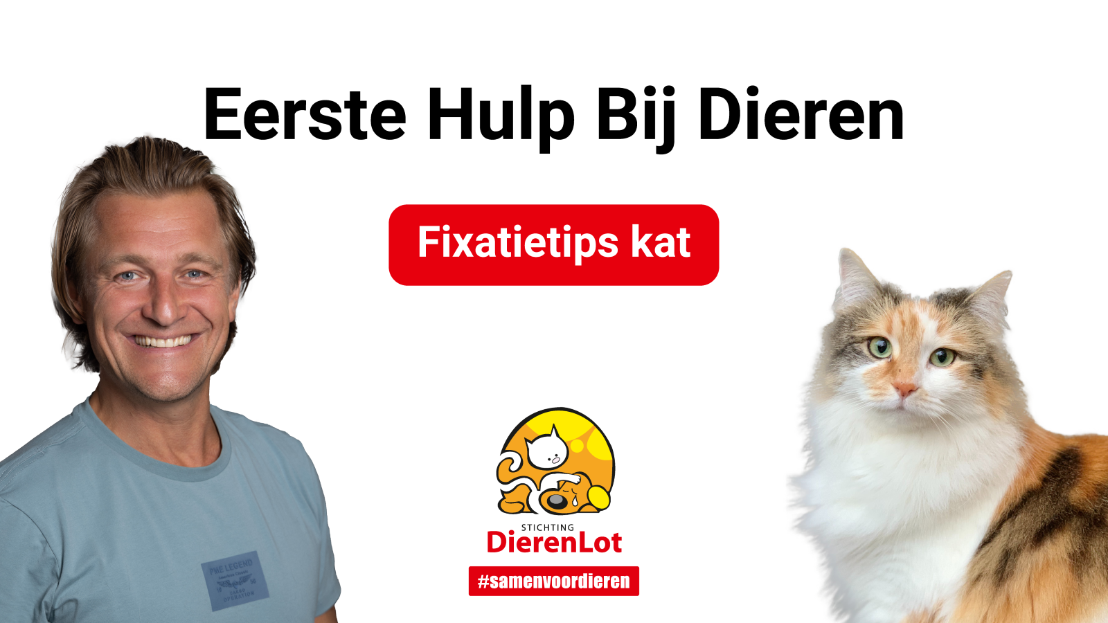 Fixatietips kat