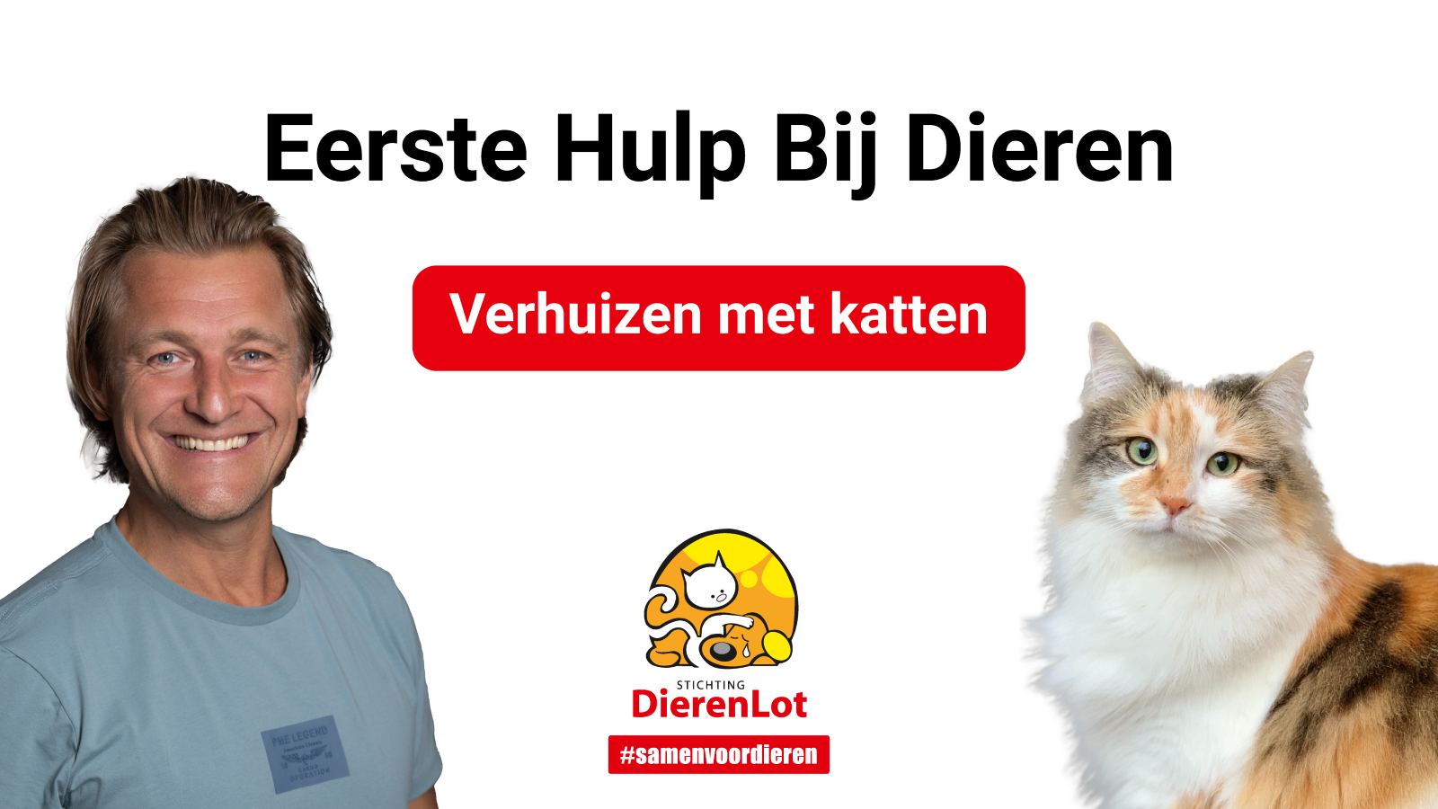 Tips voor het verhuizen een kat